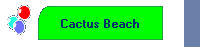 Cactus Beach