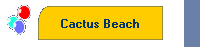 Cactus Beach