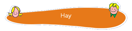 Hay